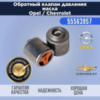 Клапан давления масла в блоке GM 55563957