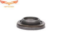 Заглушка шкива распредвала 1345739 Ford Focus , EcoSport , Mondeo , C-MAX