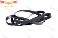 6PK 1305 / 1306 FOCUS II / C-Max 1.8 / 2.0 1.8 Duratec HE