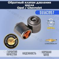 Клапан давления масла в блоке GM 55563957
