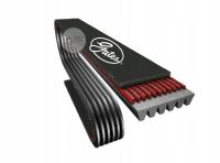 5PK 868 Elast Focus / C-Max 1.4 / 1.6 2004- / VOLVO