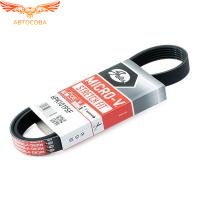 Ремень 6PK 1019 ELAST Fiesta / Fusion / Focus-II-III 1.25 / 1.4 / 1.6 2002-