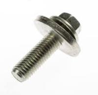 Болт M10x35mm распредвала Zetec-S / 1.8TD