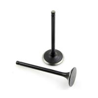 1.3 Rocam впуск