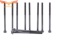 К-т болтов головки 1.8 / 2.0 / 2.3 Duratec / 2.0 Ecoboost