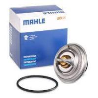 Термостат VAG FORD A3 GOLF 5 PASSAT CORRADO CAYENNE (955) -10 3.2 2.9 2.8 2.3