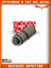 Гидрокомпенсаторы для Chery Amulet / Ford CVH