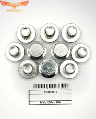 Пробка 10 шт. слива масла OHC, V6, Transit  2.5 D / 1,6 D, 1,8 D (14x1.5)