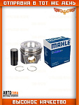 Поршень ДВС VAG (T15) (2003-2015) TOUAREG (2002-2010) TRANSPORTER V (2003-2015) STD (81.01 mm) (камера сгорания 38 мм)