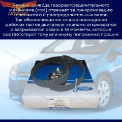 К-т ГРМ Ford Zetec-S USA-TYP