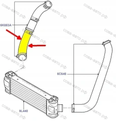Патрубок интеркулера Ford Transit V347 2.4TD нижний
