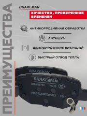 Задние тормозные колодки Омода С5