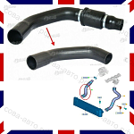 Патрубок интеркулера FORD Transit V347 2.2TD 2011- правый 1870692 (IBRAS IBR 19658)