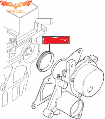 Кольцо прокладки вакуумного насоса Transit 2.0 / 2.2TDi 2000->