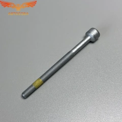 Болт 1 шт. крепления форсунки CDI (Длина: 79мм; длина резьбы: 55мм, М6; профиль головки винтов: внутренний Torx)