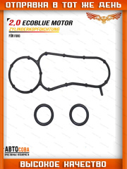 Прокладка масляного радиатор FORD 2.0 EcoBlue