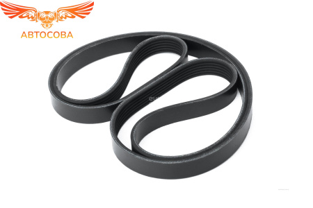 6PK 1805 Focus USA 2.0 CVH Split Port +AC