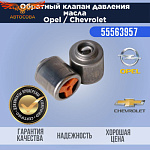 Клапан давления масла в блоке GM 55563957