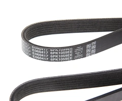 Ремень 6PK 1059 Elast FOCUS II-III 1.4 / 1.6 Ti (Оригинал DAYCO 	6PK1059EE )