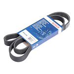 6PK 1555 / 1563