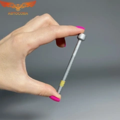 Болт 1 шт. крепления форсунки CDI (Длина: 79мм; длина резьбы: 55мм, М6; профиль головки винтов: внутренний Torx)