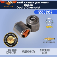 Клапан давления масла в блоке GM 55563957