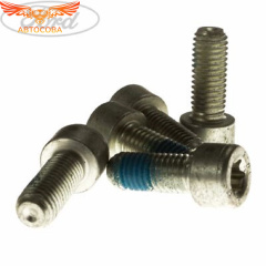 Болт тормозного диска заднего Ford Transit 2014- m10х1,5x25мм