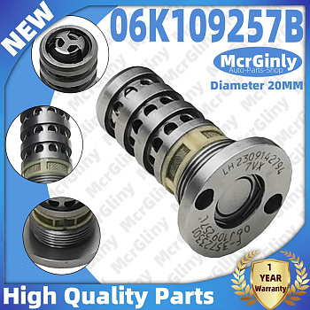 Клапан фазорегулятора Valve 20mm 06K109257B Engine 1.8T/2.0T, Engine power above 150KW