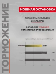 Задние тормозные колодки Тенет Т4