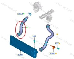 Патрубок интеркулера FORD Transit V347 2.2TD 2011- правый 1870692 (IBRAS IBR 19658)