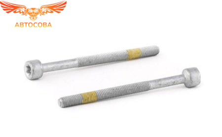 болт крепления форсунки CDI (Длина: 79мм; длина резьбы: 55мм, М6; профиль головки винтов: внутренний Torx)