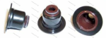 Zetec S / Duratec 1.25 / 1.4 / 1.6